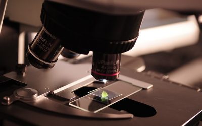 A Detailed Guide On The Importance Of Science Labs